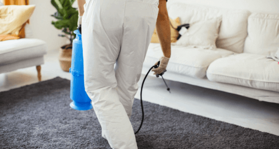 Deodorizing carpets to neutralize odors by Beehive Disaster Cleanup