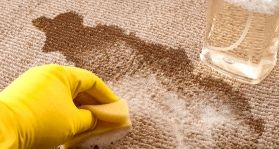 Inspection and assessment of carpets by Beehive Disaster Cleanup