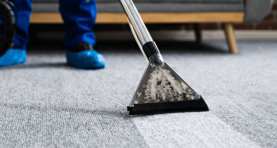 Deep cleaning of carpets using advanced steam cleaning techniques