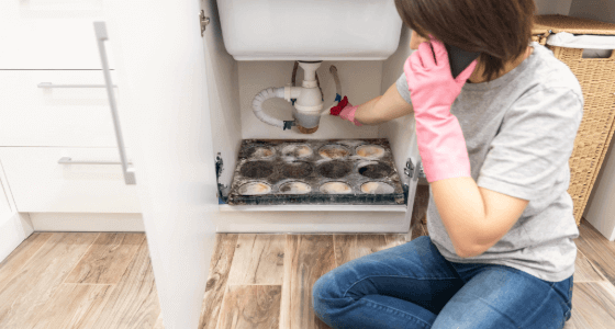 Mold damage restoration services